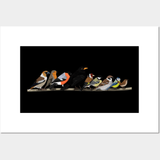 Garden Birds Cuddle on a Branch Bullfinch Wren Birdlover Posters and Art